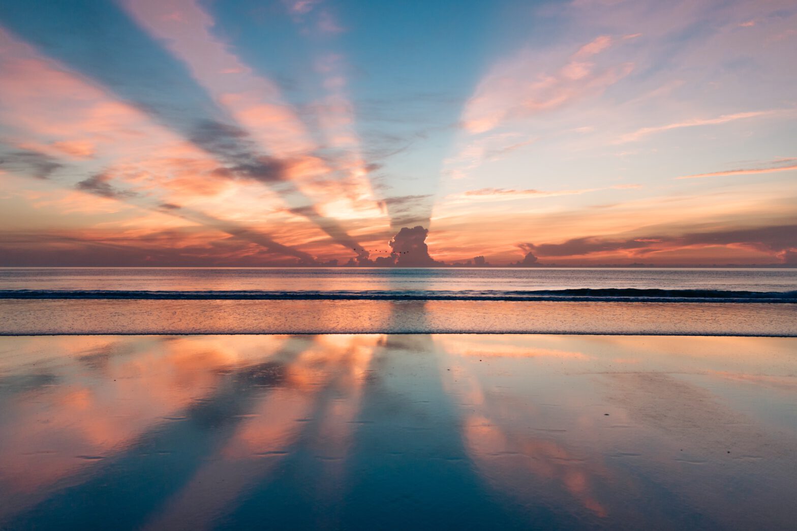 Sonnenuntergang über dem Meer, Vogelschwarm fliegt durch Sonnenstrahlen
