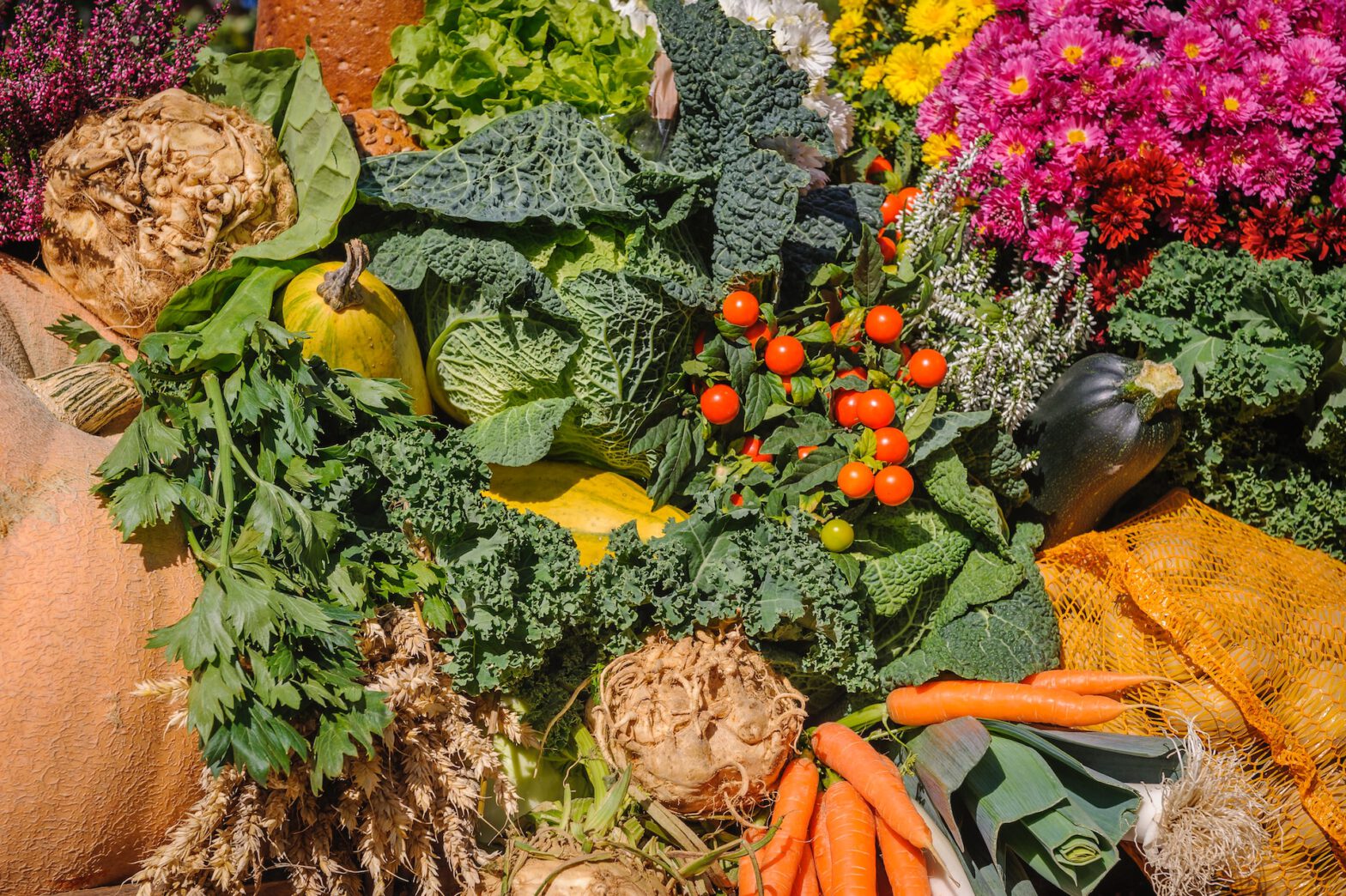 Erntedank-Tafel mit Kürbissen, Tomaten, Kohl und Blumen.