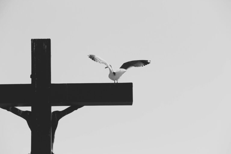 Möwe auf einem Kirchenkreuz